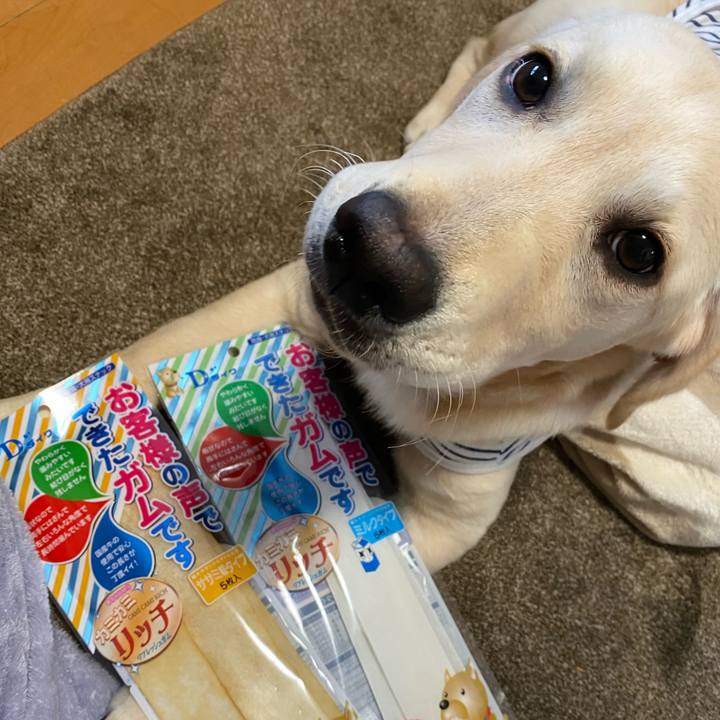 65c4d95f 33e9 4171 a11d 5071dd4beadd 1617613849665