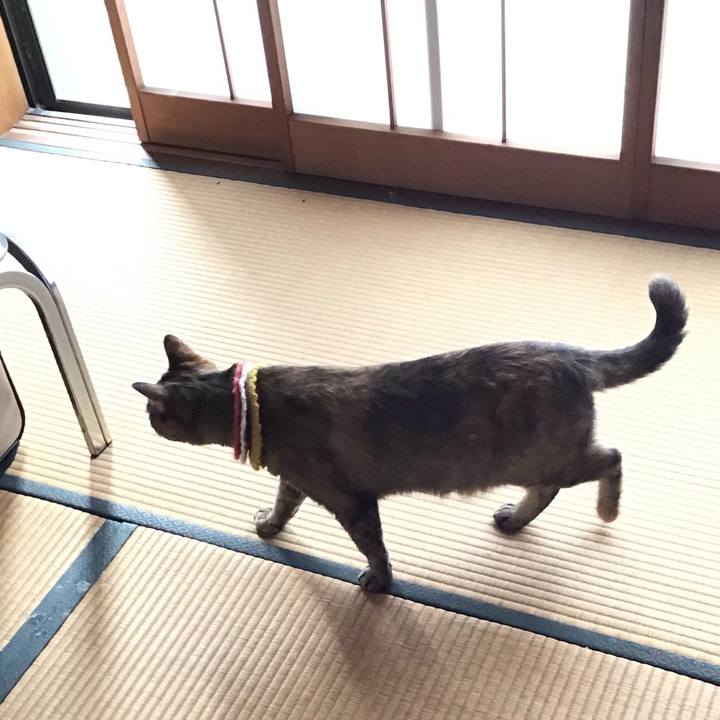 65c50643 7533 47c1 9a2d 83170bedbe92 1623652123641