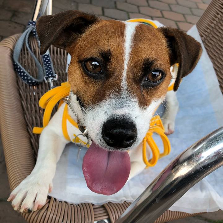 65c512fa a5a2 4cfd 9f05 7c6ab54c688b 1564722404014