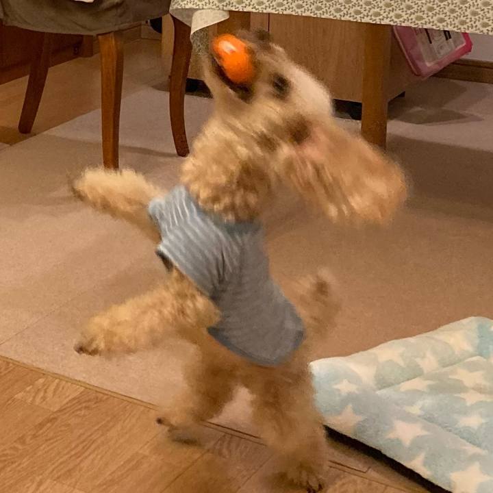 65c52628 133b 45e1 85ea 0eebc8117b21 1673948995749