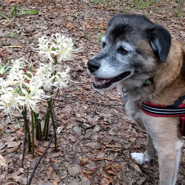 65c569ad 72ec 4813 baeb 210767f3e9ab 1537832085370