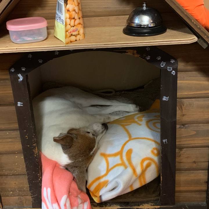 65c59a22 2698 4e5e 90de de00368a982e 1611235862470