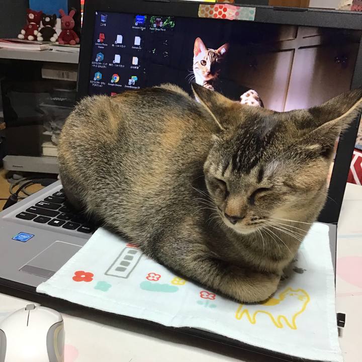 65c5d487 c55f 4408 af21 2e42f9afba21 1577178611456