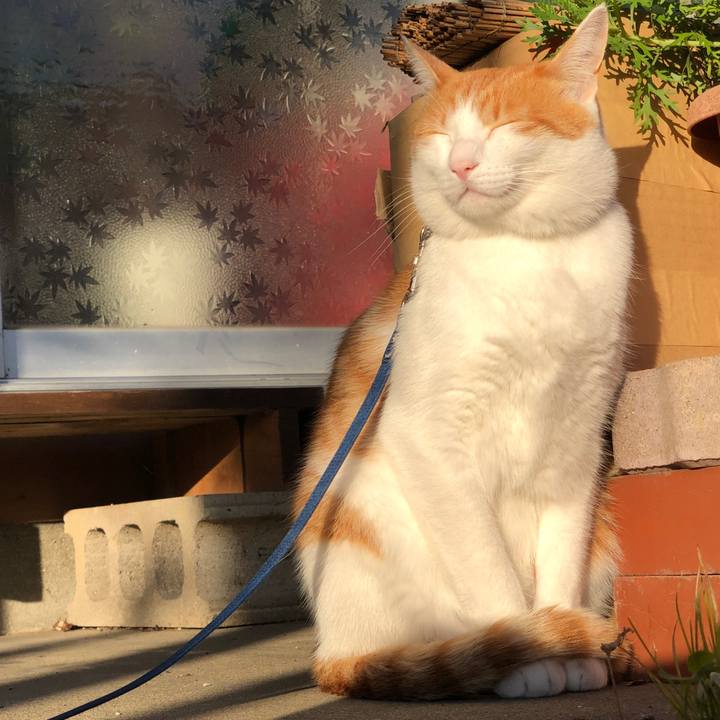 65c5d9dd 88b5 4c3c 8380 b3eb4da2b157 1543056529334