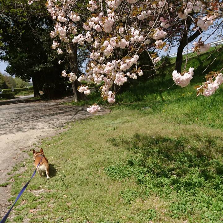 65c5f8e0 72c7 4234 89c7 fd819c3daefc 1649645103285