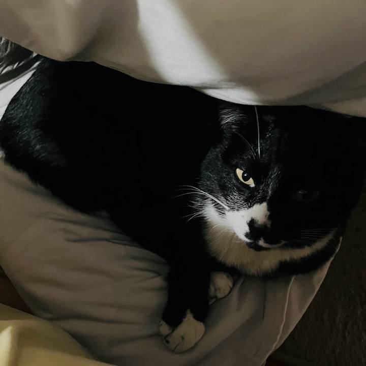 65c62401 8d28 4cf5 bf21 6b8dbd93b791 1708486635567