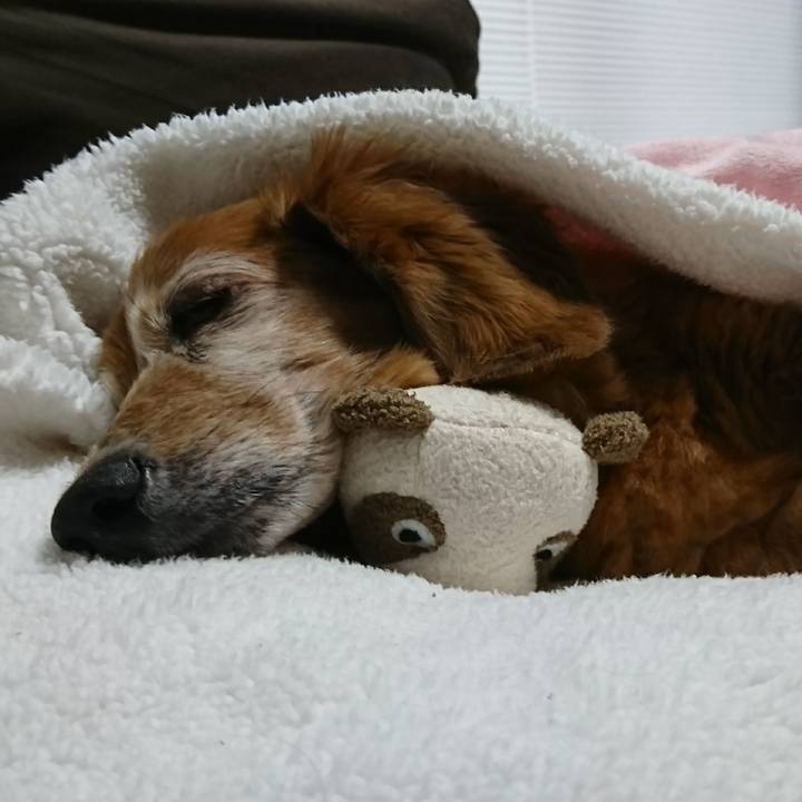 65c62cbb aadb 40b3 be23 37700070ee2c 1508303083736