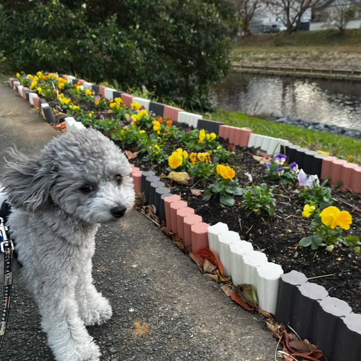 65c63061 83c6 432c 8078 86843e02619e 1764892609380