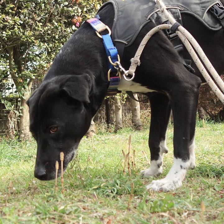 65c667c0 0d5e 4f6d 886a 76626d98a1ff 1647391793758