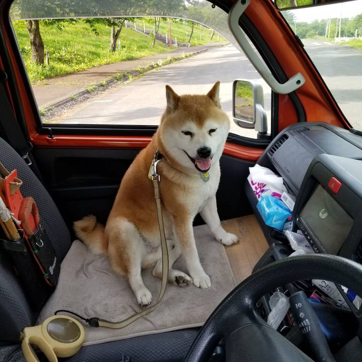 65c6bb60 2696 425a abdf 79eead9b4454 1652773074178