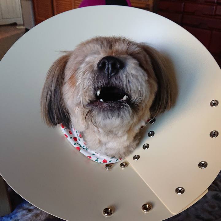 65c6c433 ad34 4c02 bac3 84cdfc1a6a20 1588144397796