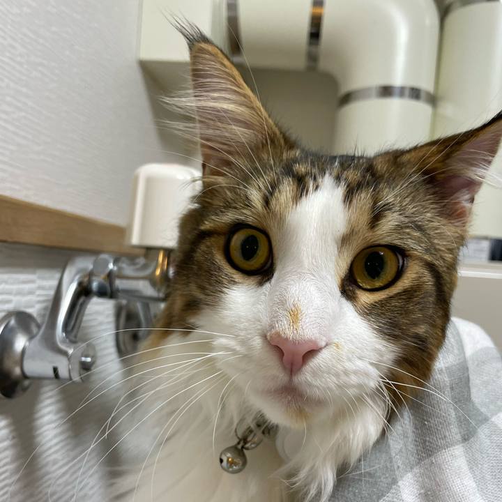 65c6cb87 8400 4dad ab7e 4e3a58719dc1 1648586479039