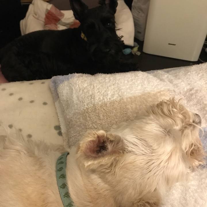 65c6dd51 be1d 43fb 91b6 827a37873b42 1580243417885