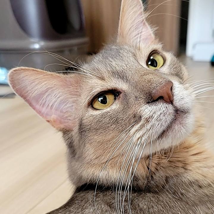 65c6e1e9 2b94 4b61 80a3 9abf62796ad9 1671240543617