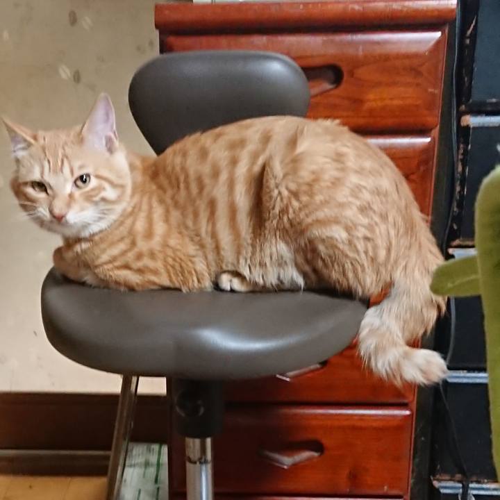 65c6ef23 a5b7 42d6 8c7a a1fe248fc4f2 1637321138405