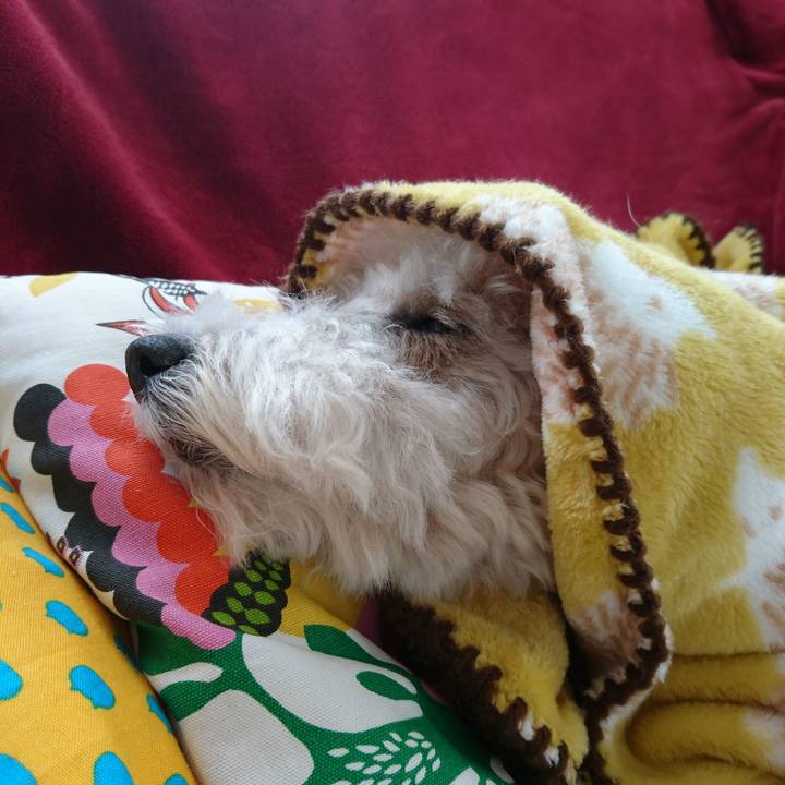 65c70868 fe87 49bf a2cb bc496747bb94 1515648116113