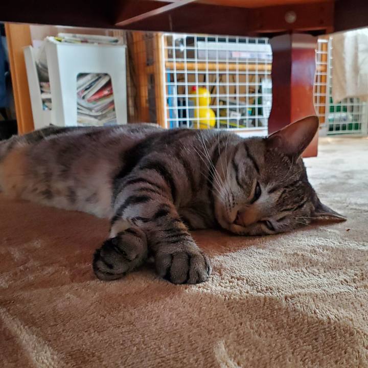 65c7170e b3d3 4336 a04a aae909b3372e 1711624593097