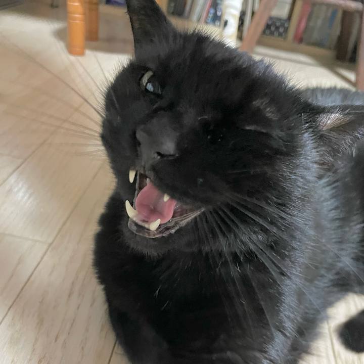 65c74a1f 2bcb 4aee b913 7e8193aee82b 1675504843231