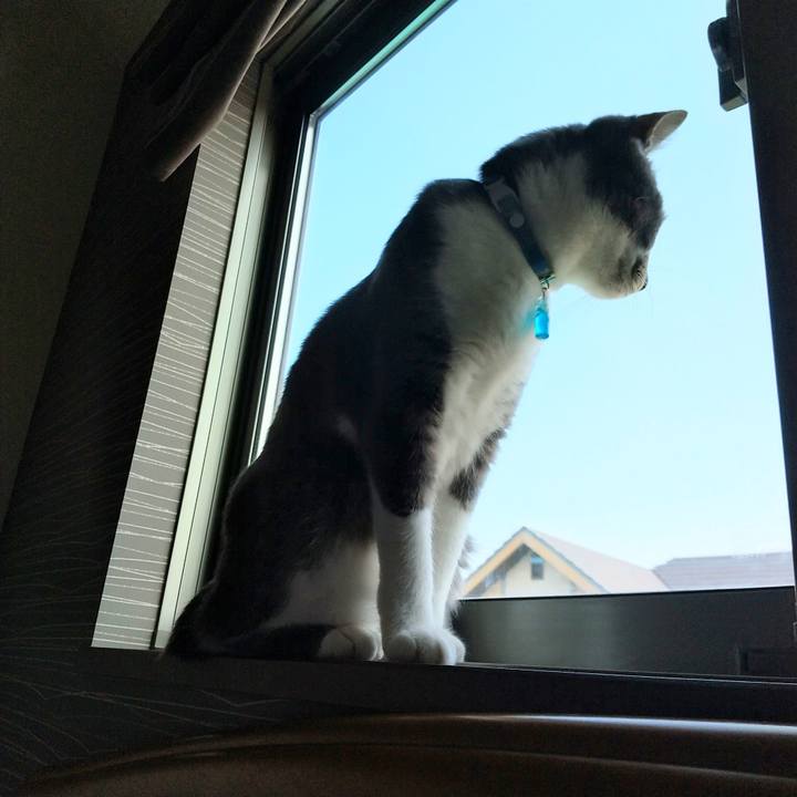 65c76310 baba 46b3 bba6 9372405fd3a8 1620515424513