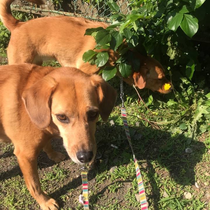 65c7860a 57e1 466e 9327 07dda7dd1423 1558651247930