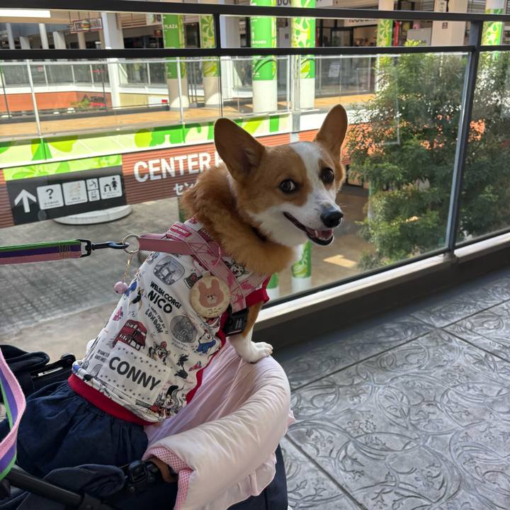 65c7a09f 0896 41a4 8910 1918f7ed8043 1760754872735