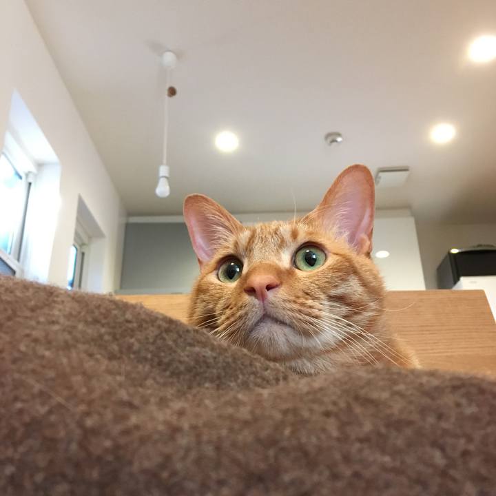 65c7b85c aa0a 4a96 9c7c 3f32c6f53607 1518044126066