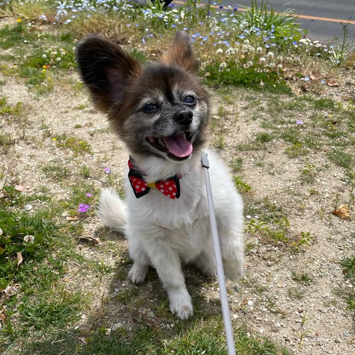 65c7e734 375a 4b62 96b3 8079570453a3 1619511787494