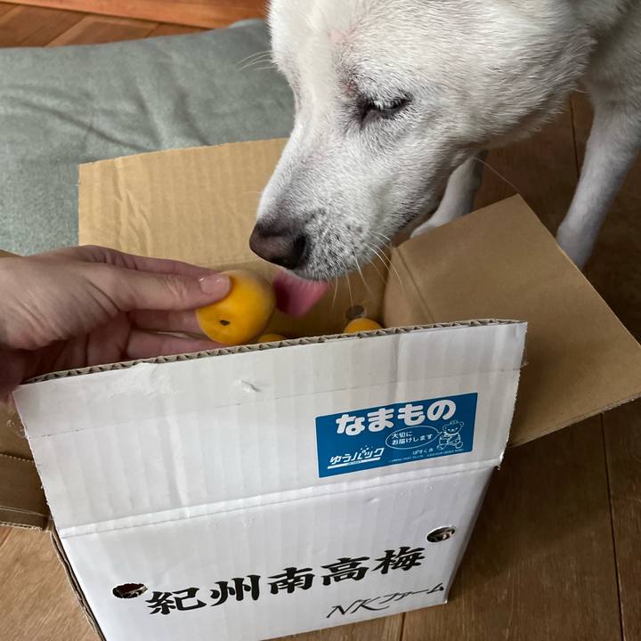 65c7f971 e100 4138 abf0 8f04854c0054 1686564074673