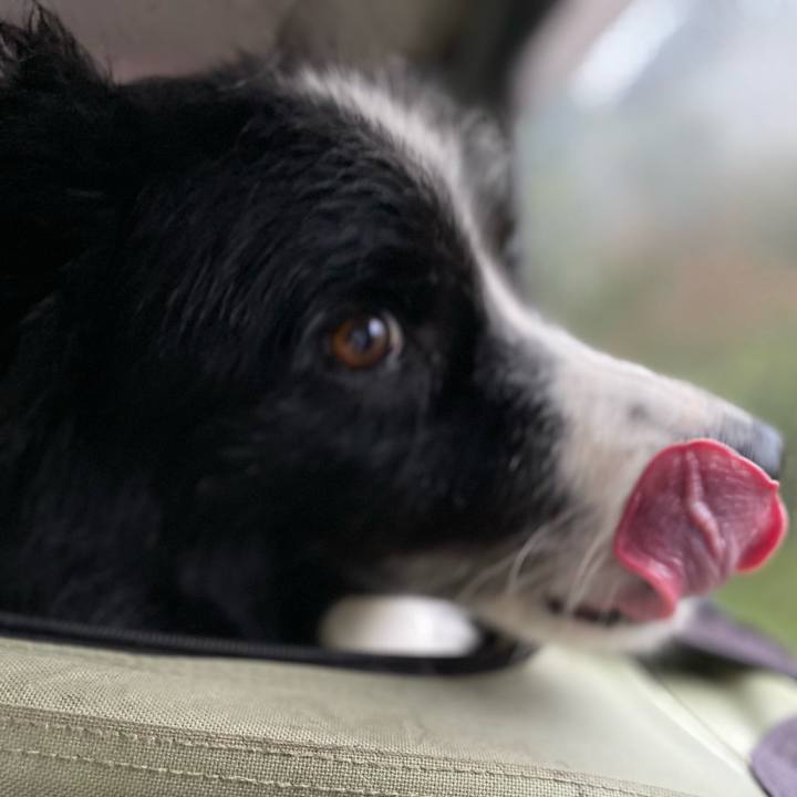 65c8228b d00c 4e93 86d9 3c89d09c97bd 1628806103452