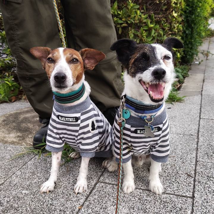 65c867b6 e098 4882 9a13 b8ff9a27a9eb 1722981224632