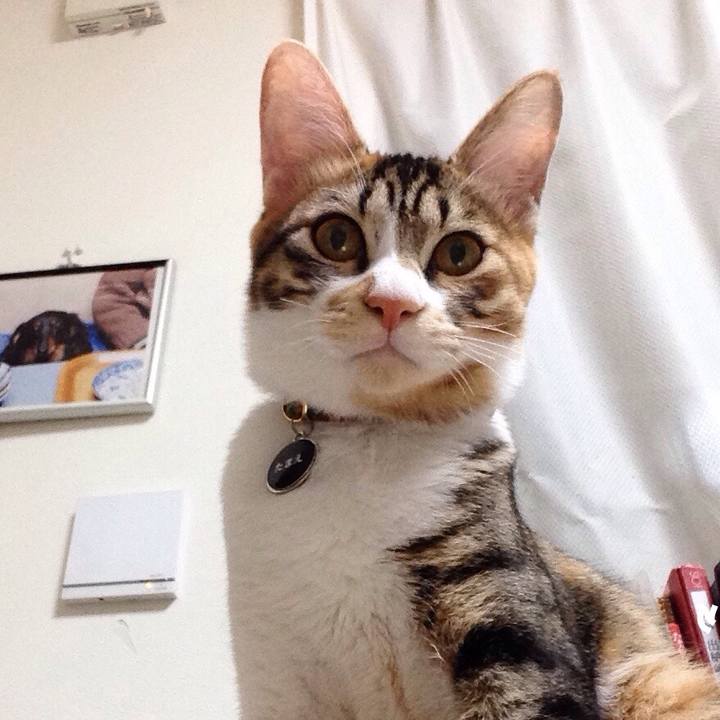 65c88951 a870 47d4 aae3 69b6d42e2b85 1639005717450