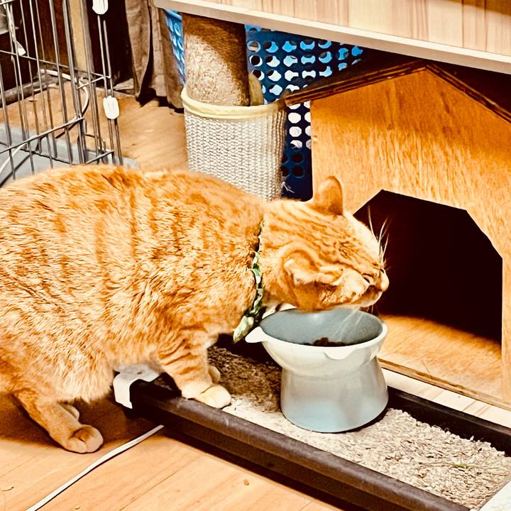 65c8cd6b b9ba 4836 9882 431b11eef412 1764362389041