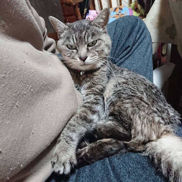 65c94dce e167 4fad 9896 93df8fe756f5 1575157365483