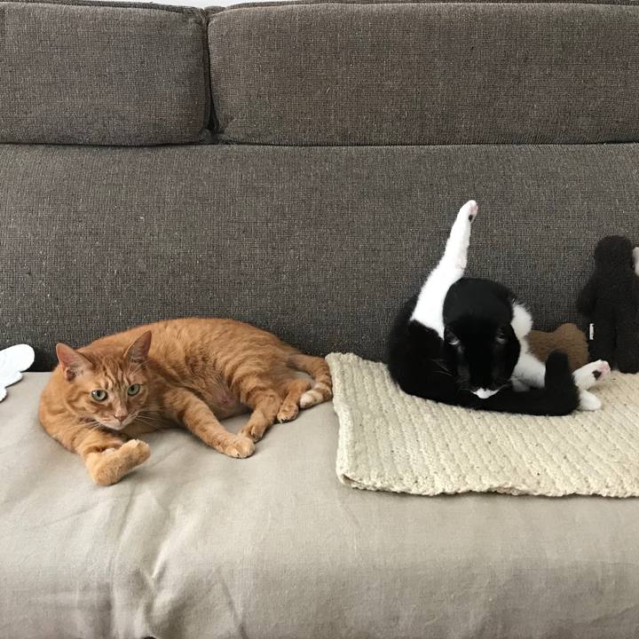 65c951fe 4bca 4516 9180 12168a293f9b 1527662367258