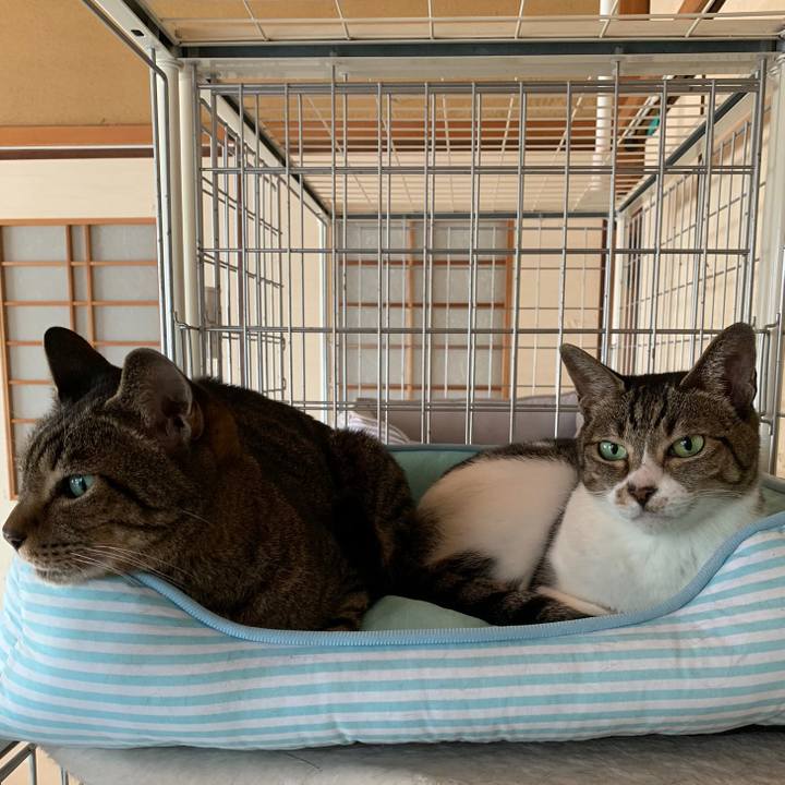 65c9653a 7fc8 4f9e a60c 3e83320c9b65 1539913931307