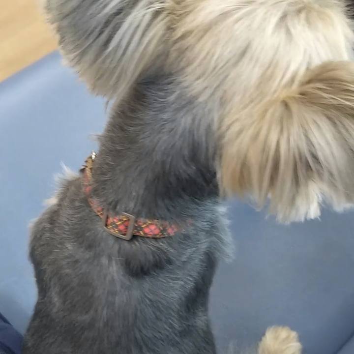 65c98169 5e42 4cc0 82d8 16a385b27d6f 1557887899803