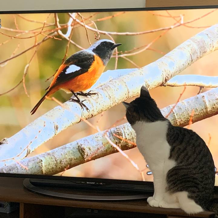 65c9a3b1 7e76 4929 9b9b eb07c460c785 1771109801978