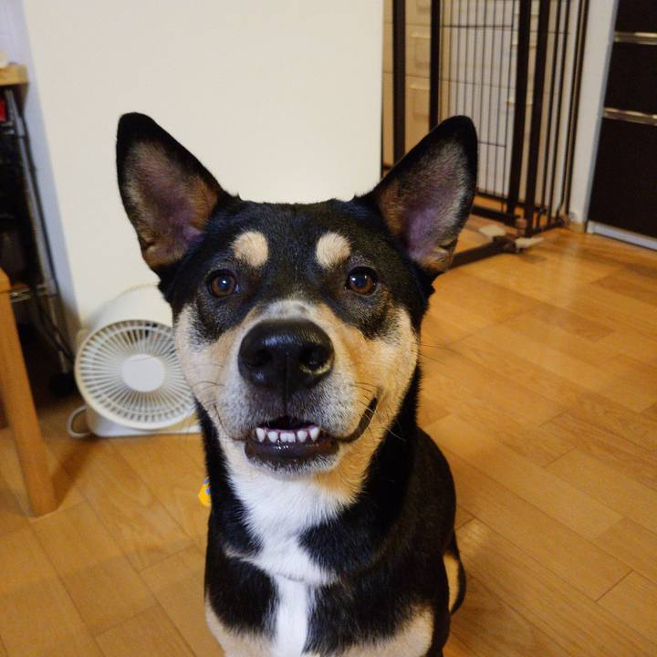 65c9a6a3 15d0 4652 8e84 41fe4f9c6f6e 1572781533181