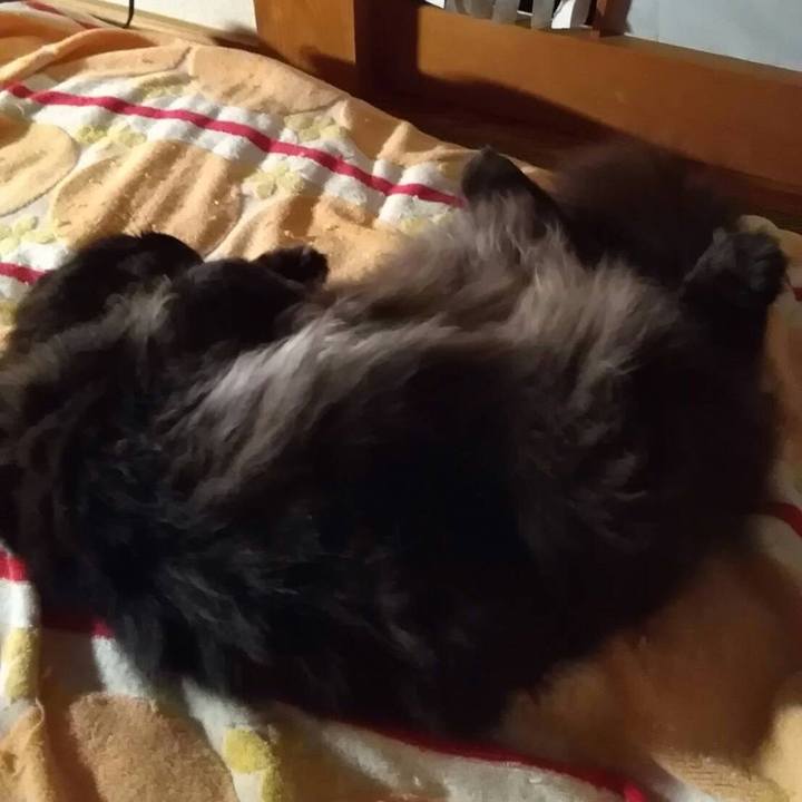 65c9d35c aee8 481e b602 74cd24f932eb 1531053188594