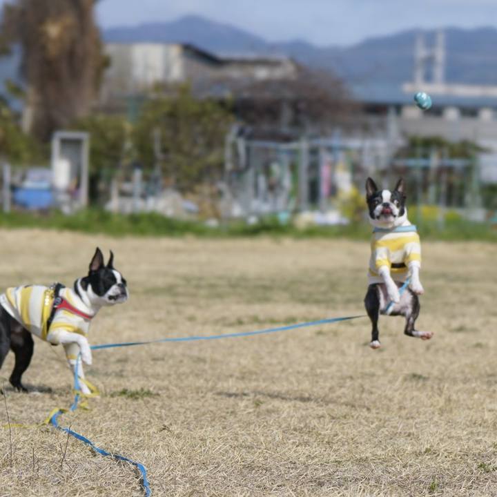 65c9fa2a 8d11 40b9 8cd3 d2e0bdccc064 1521351029504