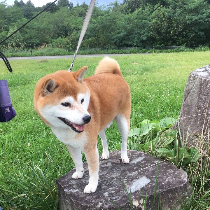 65c9fc91 ab56 4d0e afaa 81f548fe69d3 1567472149732