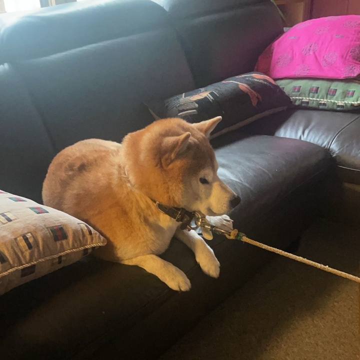 65ca8f79 6a66 4cec bacd 2cd51fbebca5 1669101908726