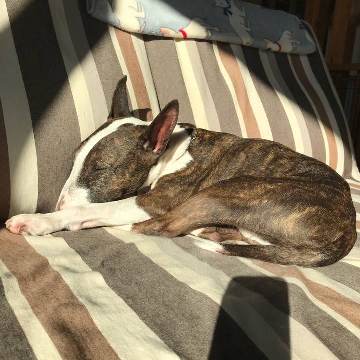 65cac55c ff48 4592 a28b 30035a17bdd3 1512952969199