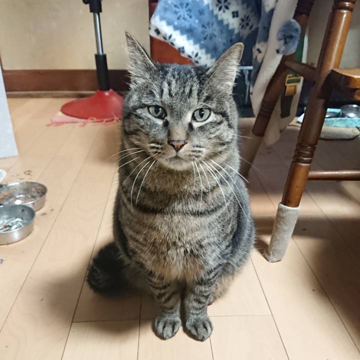 65caca3f 00a4 4046 b392 57e9704331c5 1643536303494