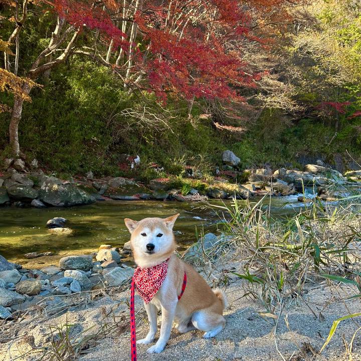 65cae64f b652 446c 842f 664ac118a9f0 1700467685769