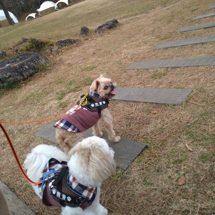 65cb06be 171e 41f7 934c e09861d824a1 1637755532452