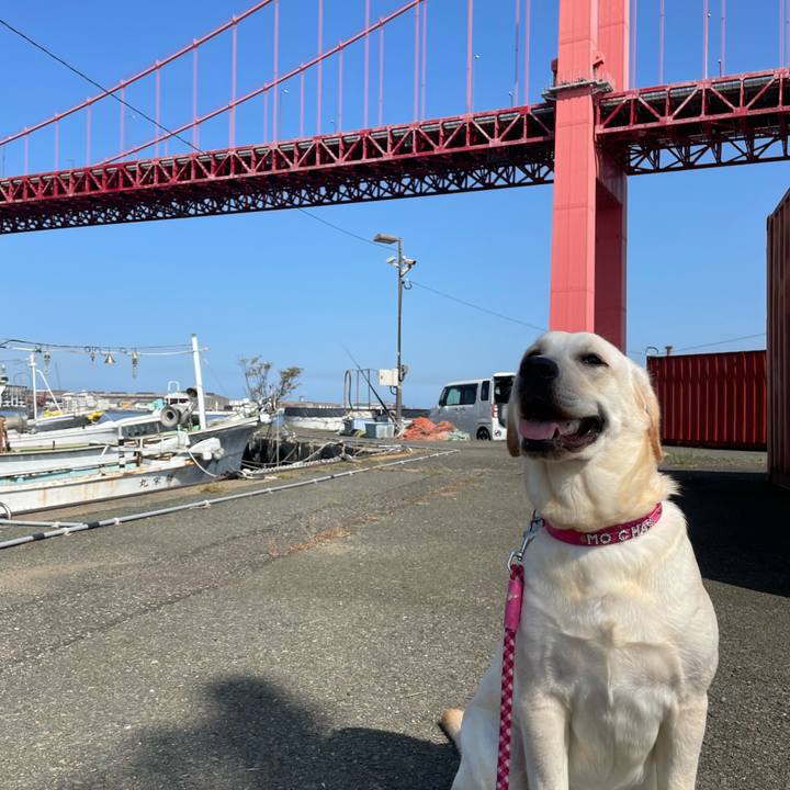 65cb4798 177c 4a64 ad56 4f785c0a4317 1633645299036