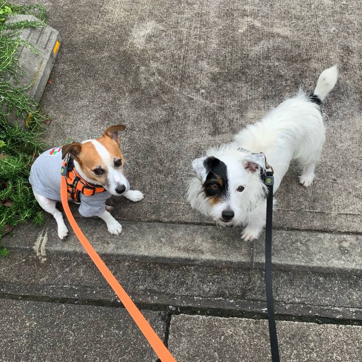 65cb7a08 36fa 4d23 9c78 29ffc8b8cfc3 1595988968475