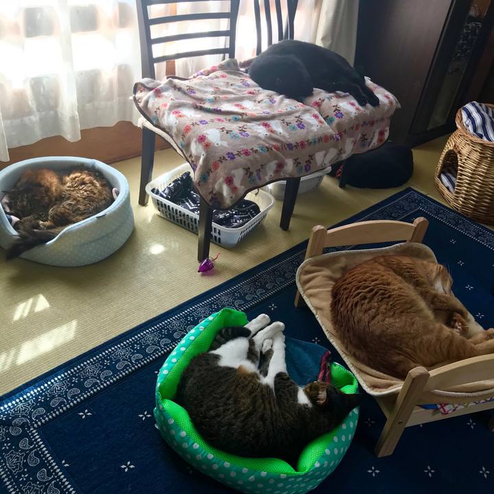 65cb8058 c588 4407 a486 06ef5adeaaa6 1507612145120