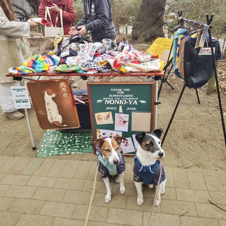 65cb8fa7 7d64 4086 a96e c1bc7327138d 1740879388983